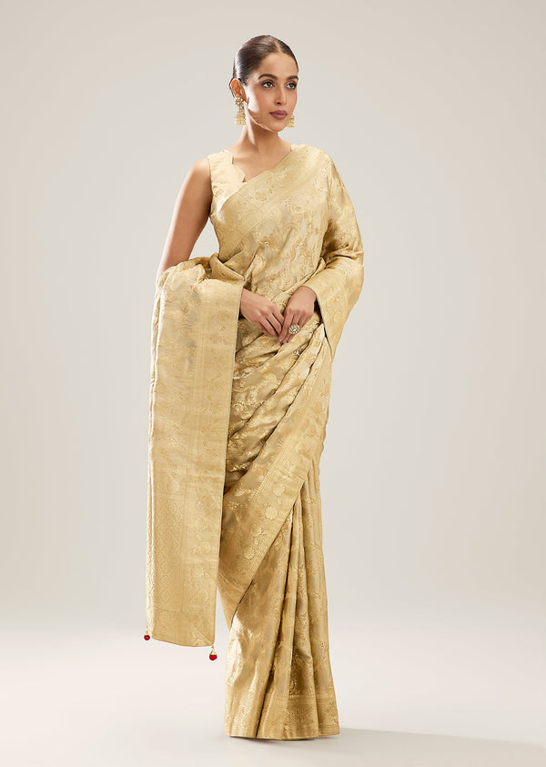 Beige Brocade Tissue Saree