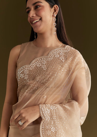 beige-glass-tissue-embroidered-saree-with-scallop-border-sg294645-1