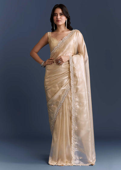 beige-net-saree-with-heavy-hand-embroidery-sg338819-1