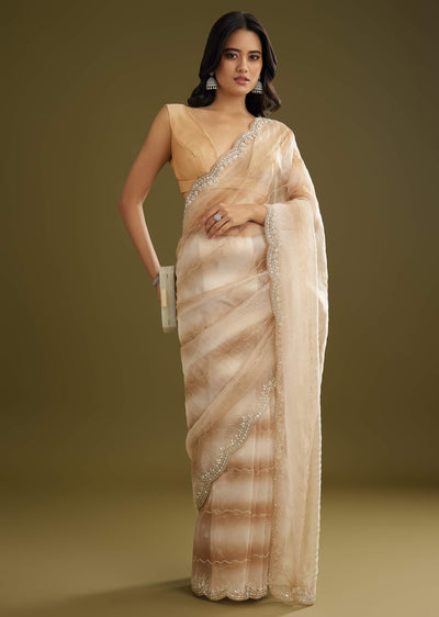 beige-shaded-glass-tissue-saree-with-stone-embellishment-sg296094-3