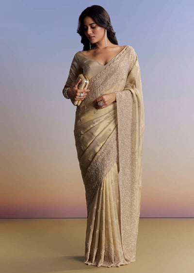 beige-tissue-saree-with-hand-embroidery-with-cutdana-and-sequins-sg319027-1
