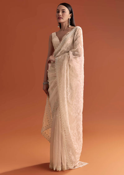 beige organza embroidered saree with jaal and butti-sg248822-1 1