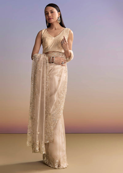 beige tissue saree with floral embroidery and-sg319822-10 9