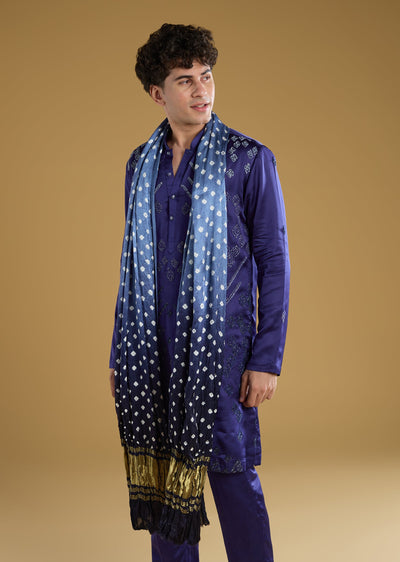 blue-silk-kurta-set-with-thread-detail-work-sg369933-3 33b14d1b-b391-4b98-bdfb-6a78e6d58901