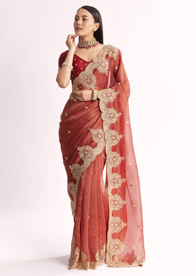 brownish-mauve-crush-tissue-saree-with-heavy-border-and-blouse-sg319792-1