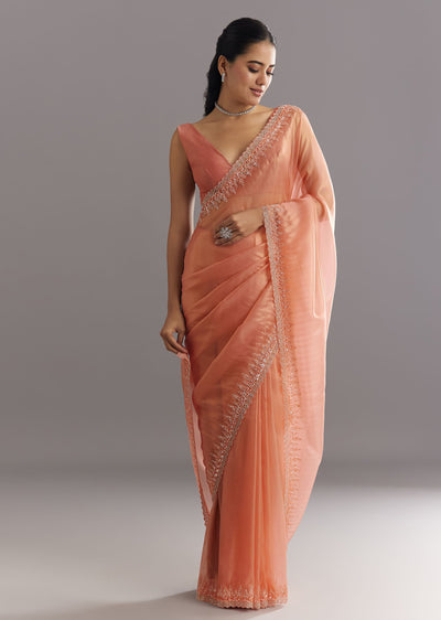 peach-glass-tissue-saree-with-cutdana-sequins-embroidery-and-cutwork-scallop-border-sg292882-1