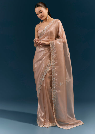 peach-net-saree-with-scalloped-cutdana-and-sequin-embroidered-border-sg385095-1 fd94c14a-d2a3-40de-bea0-0b57b479a03d