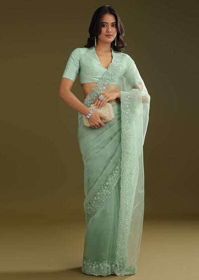 pista-green-tissue-saree-with-embroidered-scallop-border-sg293903-3