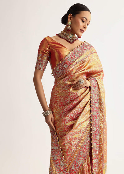 rust-orange-tissue-saree-with-heavily-embroidered-border-and-pallu-sg317981-1