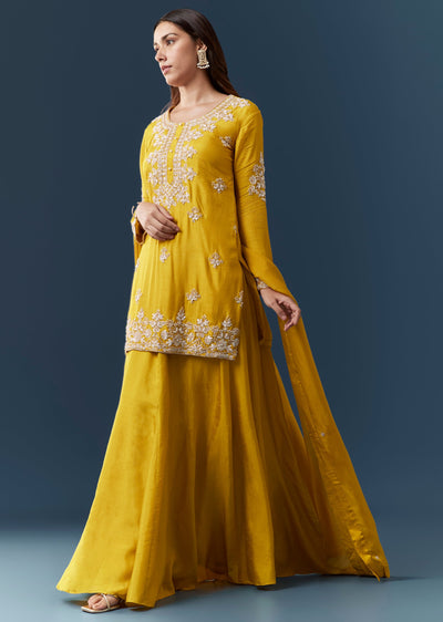 yellow-cutdana-work-kurta-and-skirt-set-sg360564-1 c6eb8b33-fd21-4e0f-a706-d255d8b9bb42