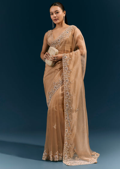 beige-glossy-tissue-saree-with-heavy-floral-embroidered-border-and-stone-highlights-sg385100-1 2609e803-21a8-46b6-bc3f-8c3a558b1a74