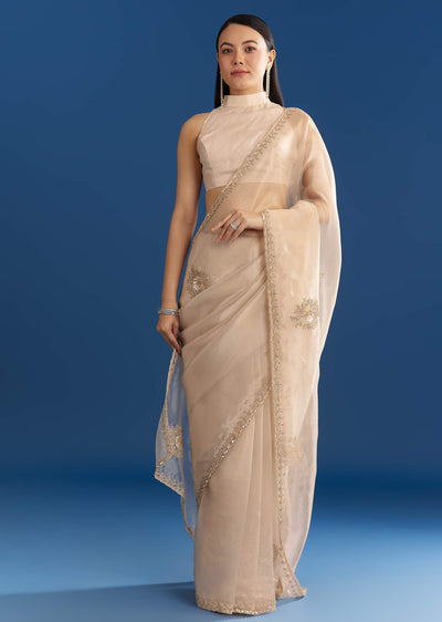 beige-organza-tissue-saree-with-delicate-embellished-edge-sg284807-2