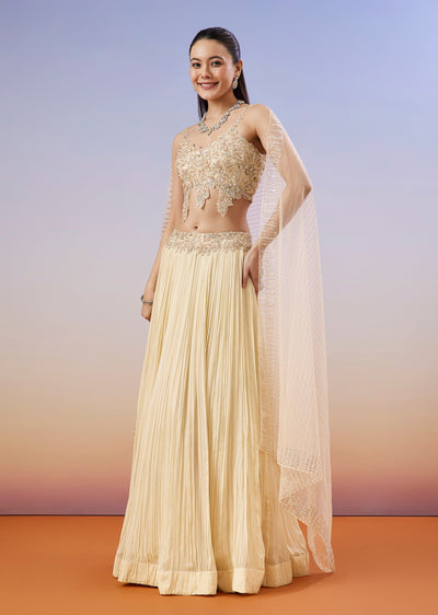 Beige Pastel Cut Dana And Moti Work Lehenga