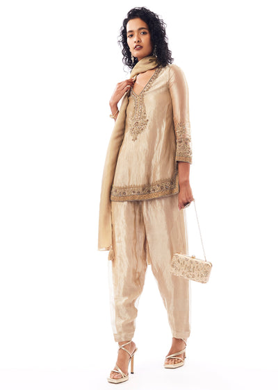 Beige Patiala Suit With Zardosi Sequin Detailing