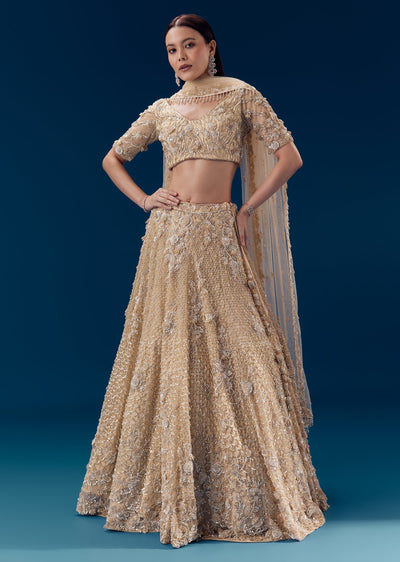 beige-resham-embroidered-bridal-lehenga-set-sg342877-1 e96638e8-2d12-42ce-a770-47ff32ae4f64