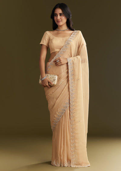 beige-tissue-saree-with-leaf-motif-embroidery-in-sequins-and-cutdana-sg294564-2