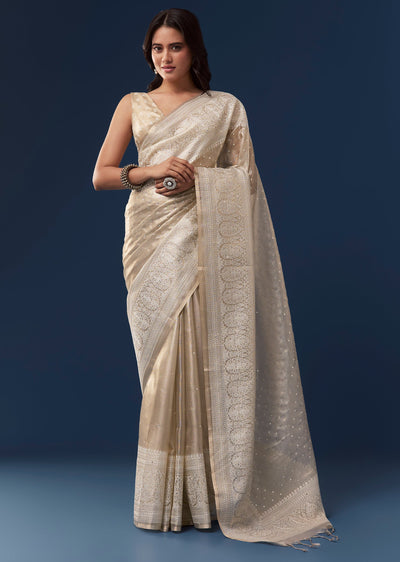 beige-tissue-saree-with-resham-thread-border-and-mirror-work-sg346412-1 72b61526-b70b-4376-97b2-acf384fbd4d7