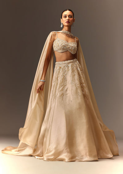 beige hand embroidered blouse with skirt and choker dupatta-sg262486 1
