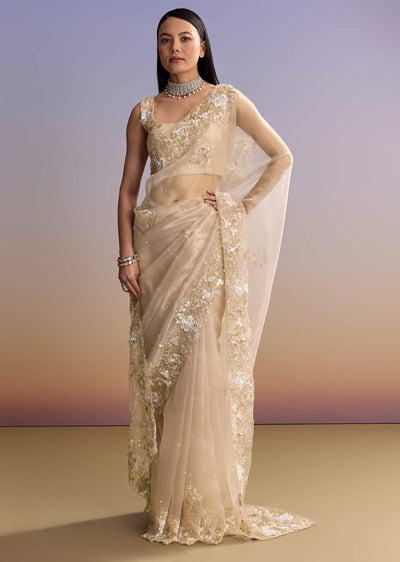 beige tissue saree with moti and cutdana-sg319818-10 9