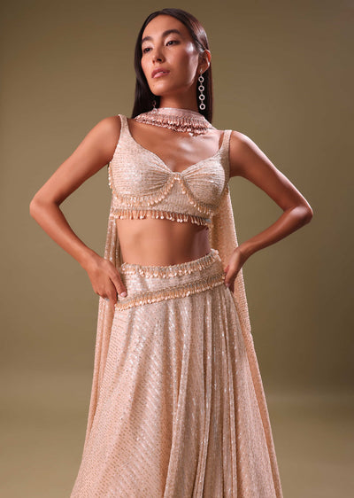 blush pink shimmer skirt with blouse and cape-sg208436 4 2b96dedd-c0a6-4c64-b478-df27701858aa