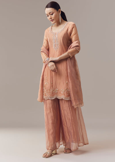 Brown Pakistani Style Palazzo Suit With Pastel Embroidery And Dupatta