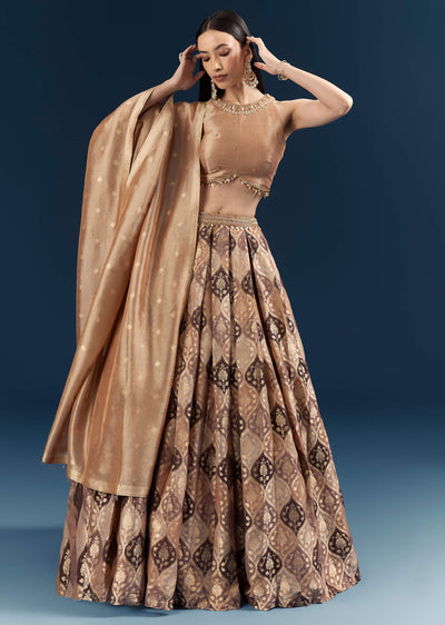 brown tussar bridesmaid lehenga with heavy-sg342072-6 6