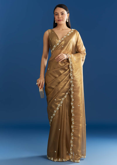 copper-brown-organza-tissue-saree-with-beaded-border-sg284840-1