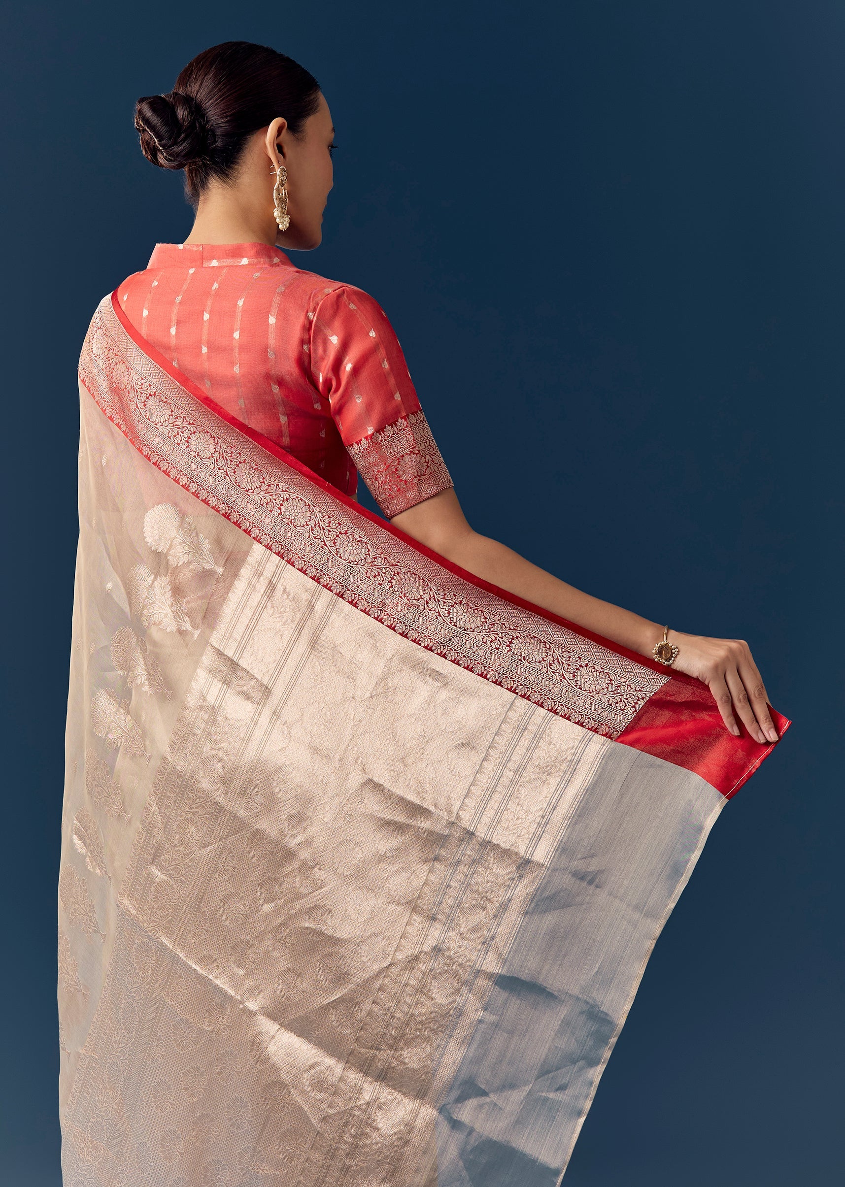 dusky-beige-tissue-saree-with-contrast-red-woven-border-sg342579-6 d02d2fa3-a418-4988-8529-b0d3c63f73bd
