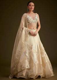 Gold And White Net Embroidered Lehenga Set With Organza Dupatta