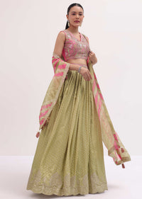 green and pink lehenga with embroidered choli and dupatta-sg235506 6 e4f4a482-1f1a-4ea8-928f-0171ca9b3ca8