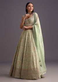 green hand work choli and banarasi weave lehenga-sg266419 2