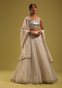 ivory white lucknowi embroidered georgette-sg164398 11