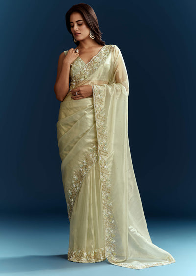 light-pista-organza-saree-with-floral-cutdana-and-stone-embroidery-sg284736-2