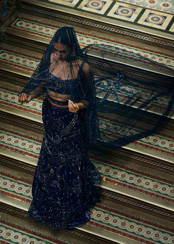 Navy Blue Embellished Fischut Lehenga