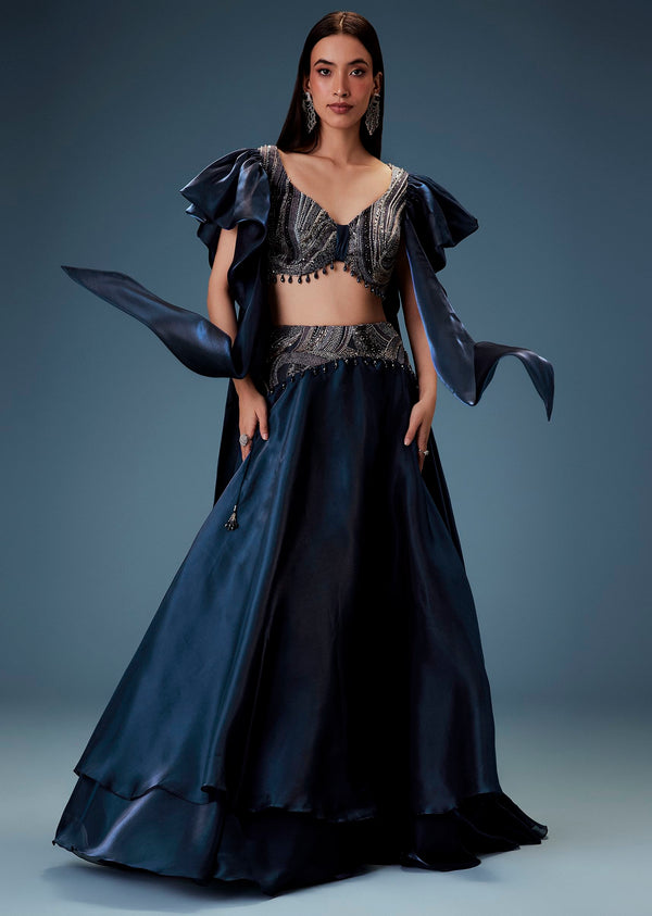 Navy Blue Organza Butterfly Blouse With Skirt