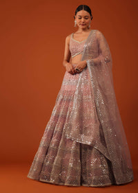 onion pink georgette lehenga-sg154301 1