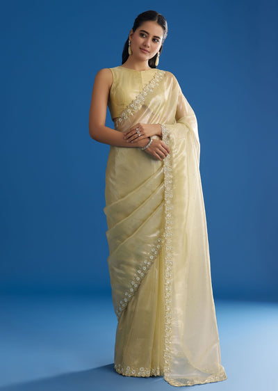pastel-green-glass-tissue-saree-with-floral-embroidery-and-cutwork-border-sg296150-2