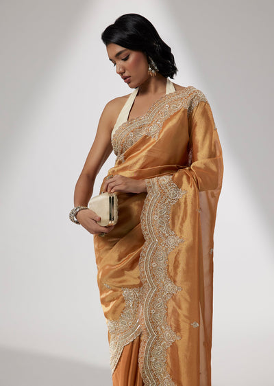 Rust Tissue Saree with Sequin and Cutdana Embroidery