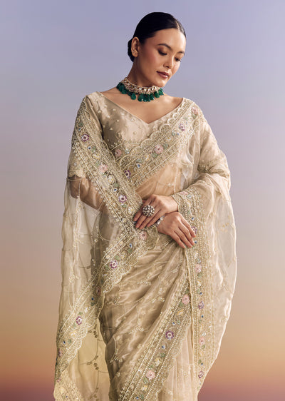 silver-glass-tissue-saree-with-jaal-work-and-multicolor-sequin-embroidery-sg317956-1