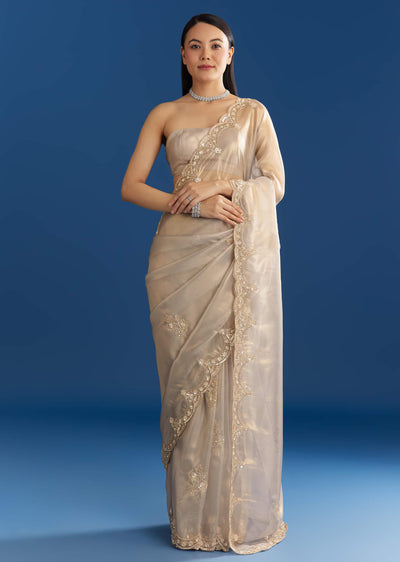 silver-organza-tissue-saree-with-sparkling-border-sg284729-1