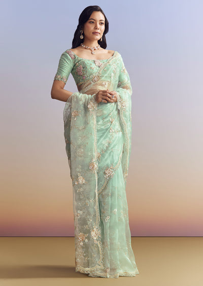 sky-blue-organza-saree-with-floral-jaal-embroidery-sg319888-1