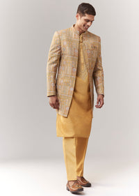yellow-silk-indo-western-with-resham-and-sequins-sg385958-1 d0f8dcd2-3ada-42dc-b76a-898c5792ce56